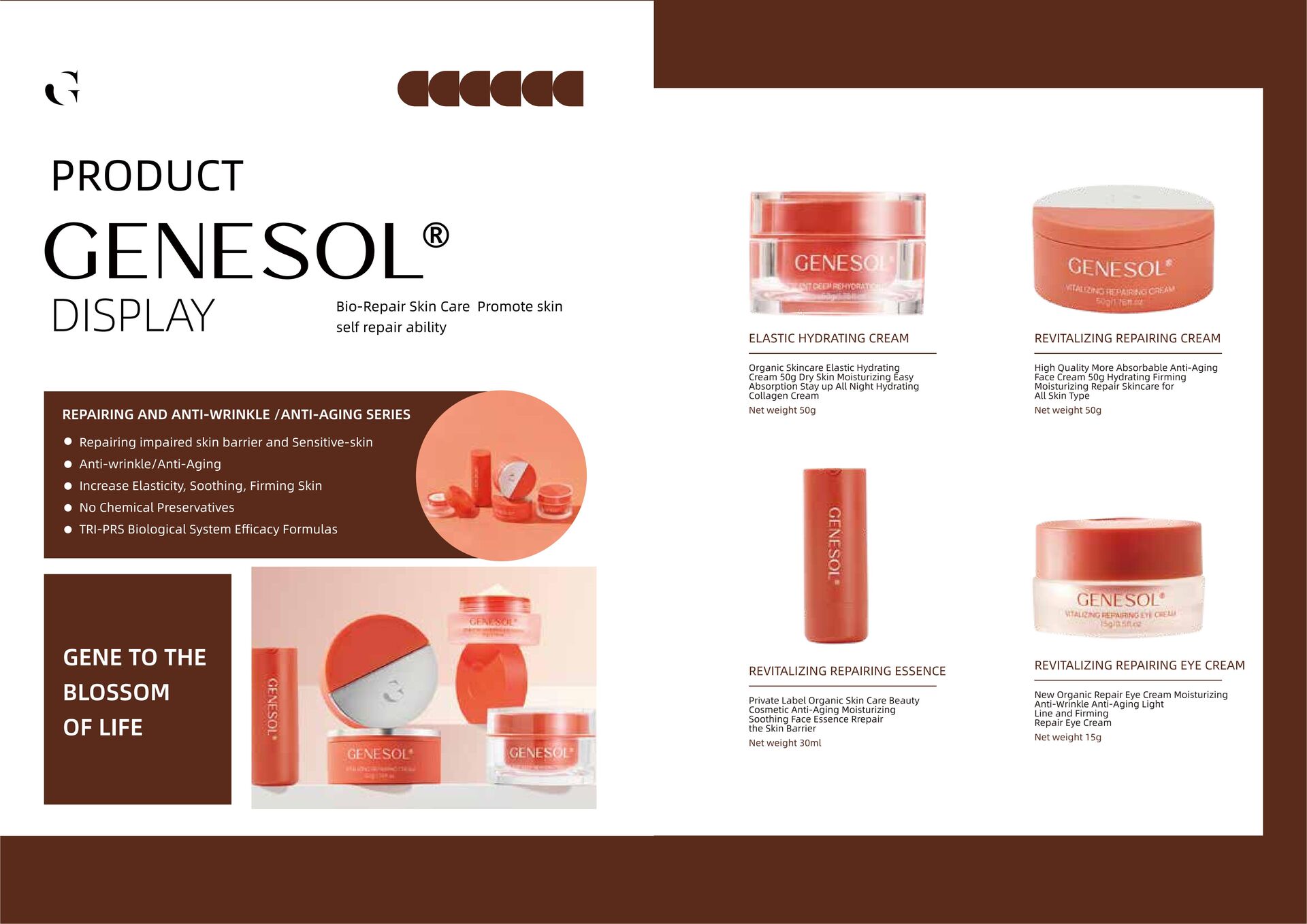 Whitening face cream jar halal cosmetics China manufacturer